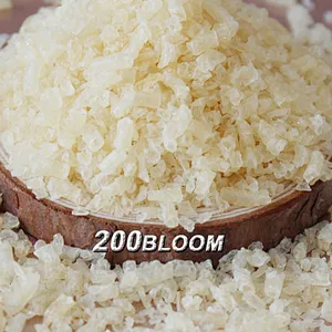 Best-Selling Gelatin CAS 9000-70-8 Free Sample